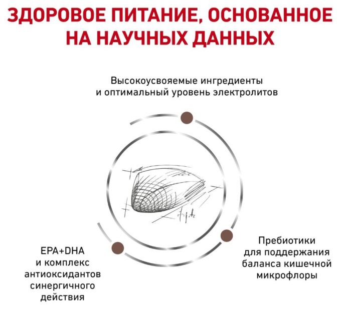 Сухой корм для кошек Royal Canin GastroIntestinal (0.35 кг)
