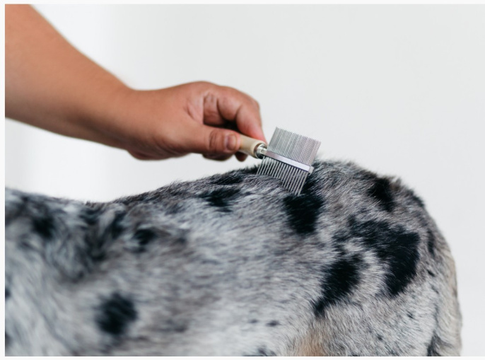 Расческа с деревяной ручкой, двухсторонняя с редкими и частыми зубьями Каскад (17 см)