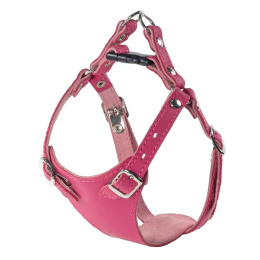 Gamma Шлейка кожаная для собак "Белла"