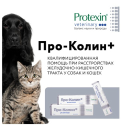 Снимок экрана 2026-08-12 211026