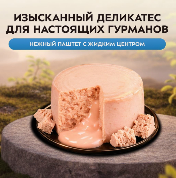 Снимок экрана 2026-08-13 221743
