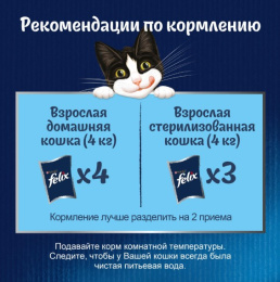 Влажный корм для кошек Felix Аппетитные кусочки в желе (лосось)