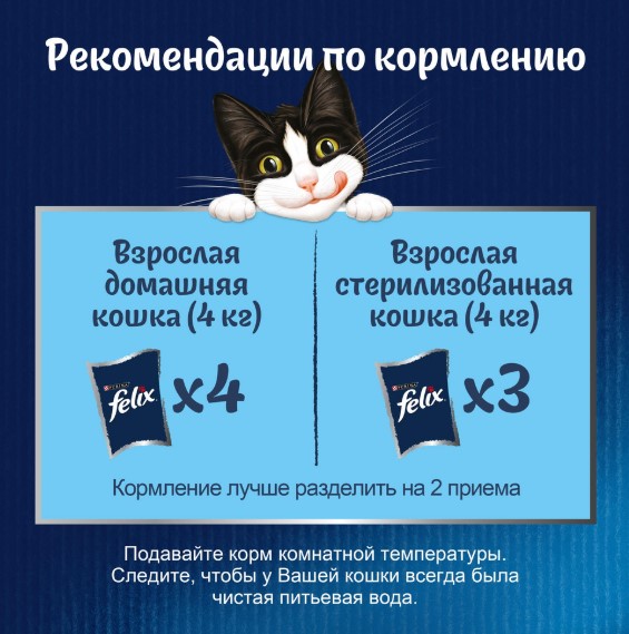 Влажный корм для кошек Felix Аппетитные кусочки в желе (лосось) (75 гр)