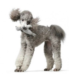 HUNTER Игрушка для собак Skagen Seal серый