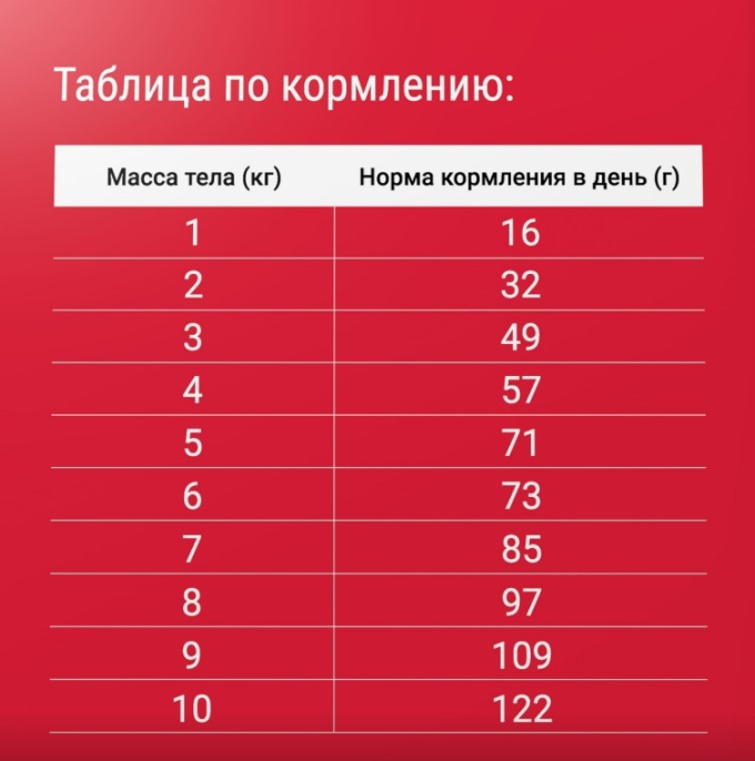 Сухой корм для кошек Darsi Мясное ассорти (1,8 кг)