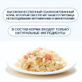Консервы для кошек Wanpy Cat (курица, лосось) (95 гр)