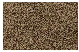 Корм для водных черепах Tetra ReptoMin