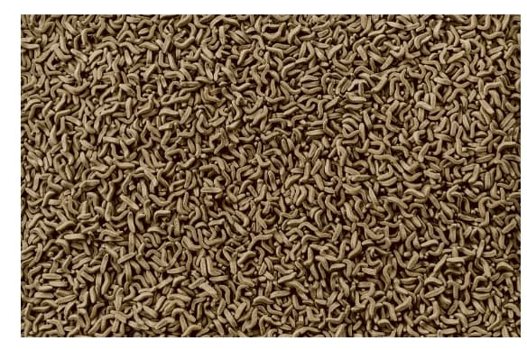 Корм для водных черепах Tetra ReptoMin