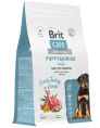 Сухой корм для щенков Brit Care Dog Puppy&Junior L Healthy Growth (индейка, ягненок) (3 кг)