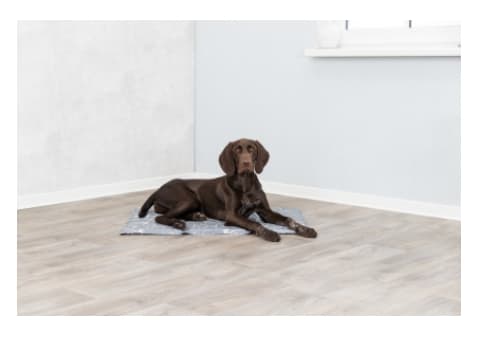 Охлаждающая лежак-подстилка "TRIXIE" 50х40 см (28785)