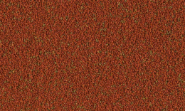 4004218201378-2