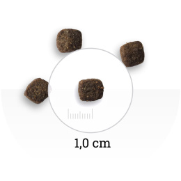 Сухой корм для кошек Bon Appetit CAT Adult Sterilized (курица, лосось)