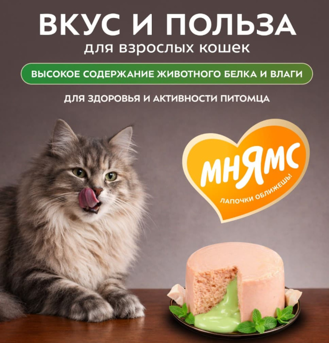 Снимок экрана 2026-08-13 223039