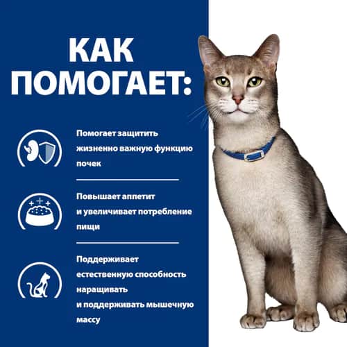 Влажный корм для кошек Hill's Prescription Diet k/d Kidney Care (говядина) (85 гр)