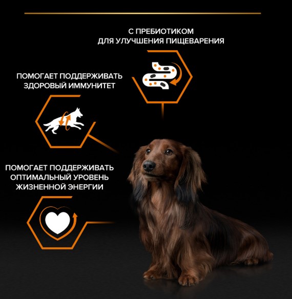 Влажный корм для собак Pro Plan EveryDay Nutrition Small & Mini Adult в соусе (курица) (85 гр)