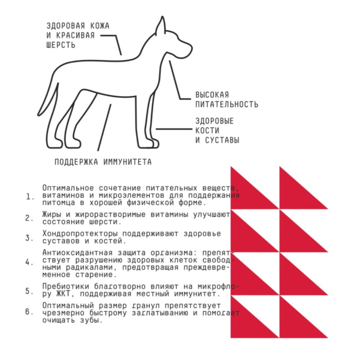 Сухой корм для собак крупных пород AJO Basic Line Maxi Adult Dog (12 кг)