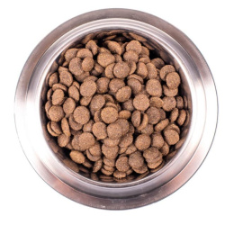 Сухой корм для собак Monge Dog Monoprotein Adult All Breeds (ягненок, рис, картофель)