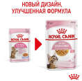 Влажный корм для котят Royal Canin Kitten Sterilized (в желе) (85 гр*12 шт)