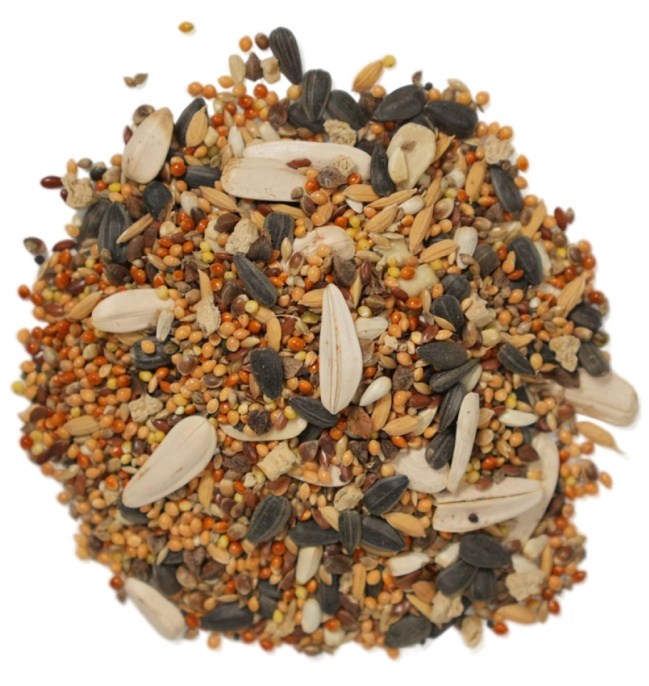 Корм для средних попугаев Bambini Pets (800 гр)