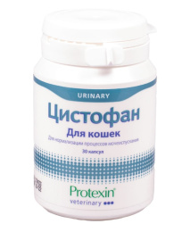 Снимок экрана 2026-08-12 214610