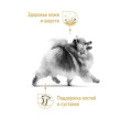 Сухой корм для собак Royal Canin Pomeranian Adult (0,5 кг)