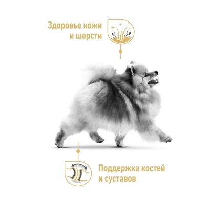 Сухой корм для собак Royal Canin Pomeranian Adult (0,5 кг)