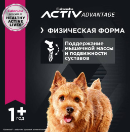Сухой корм для щенков Eukanuba Puppy Small Breed (птица)