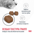 Сухой корм для кошек Royal Canin Dental Cat (0,4 кг)