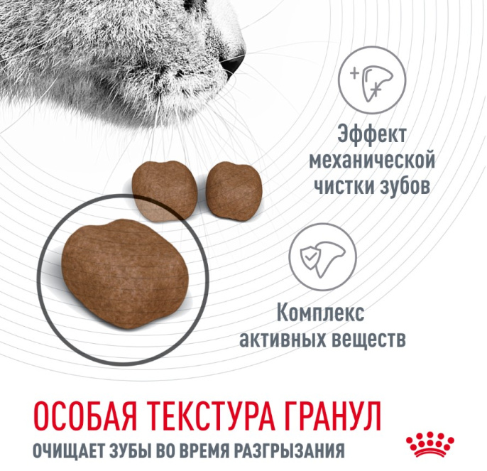 Сухой корм для кошек Royal Canin Dental Cat (0,4 кг)