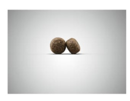 Сухой корм для собак Josera High Energy