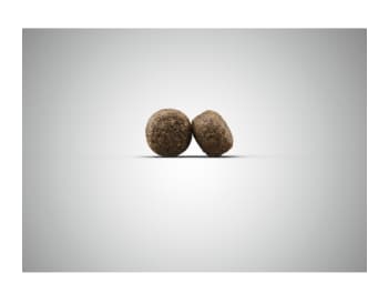 Сухой корм для собак Josera High Energy (12,5 кг)