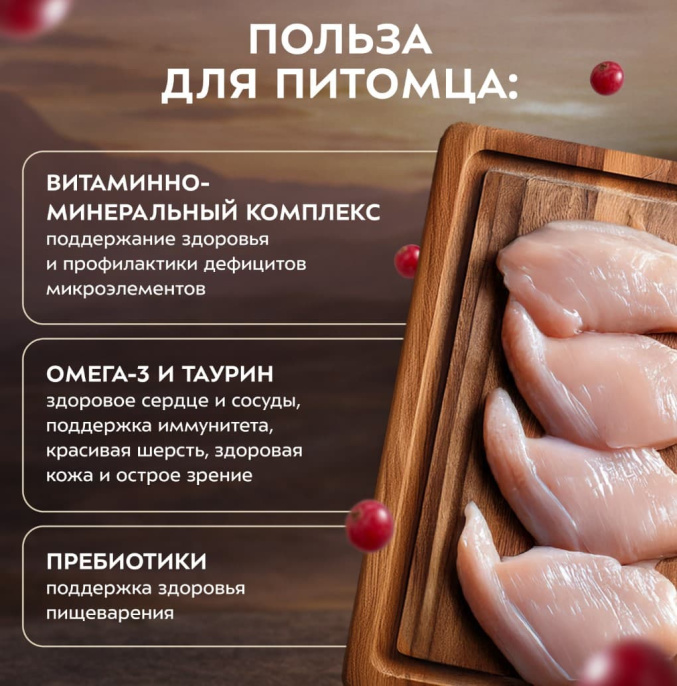 Снимок экрана 2026-08-13 213822