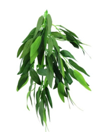 Растение "Рускус" TP001 400 мм Repti-Zoo (84045011)