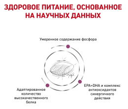 Сухой корм для собак Royal Canin Early Renal Dog