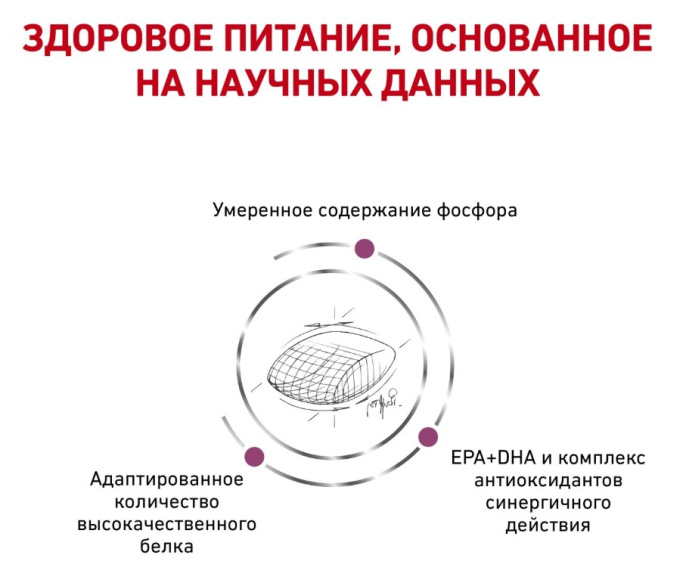 Сухой корм для собак Royal Canin Early Renal Dog (7 кг)