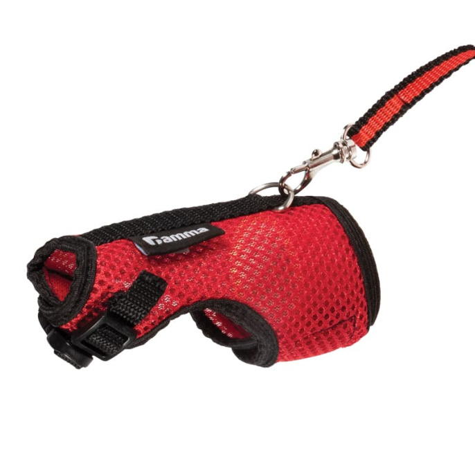 Комплект шлейка и поводок для крысы Лариска