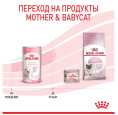 Сухое молоко для котят Royal Canin Babycat Milk