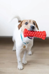 FANCY PETS игрушка для собак Кусалка