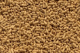 4004218170063-4L-1