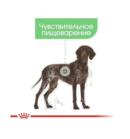 Паштет для собак Royal Canin Digestive Care (85 гр*12 шт)
