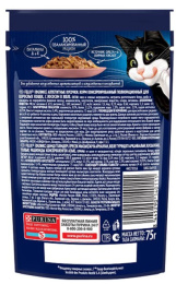 Влажный корм для кошек Felix Аппетитные кусочки в желе (лосось)