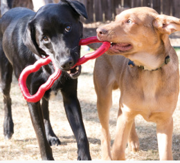 KONG Игрушка для собак Tug