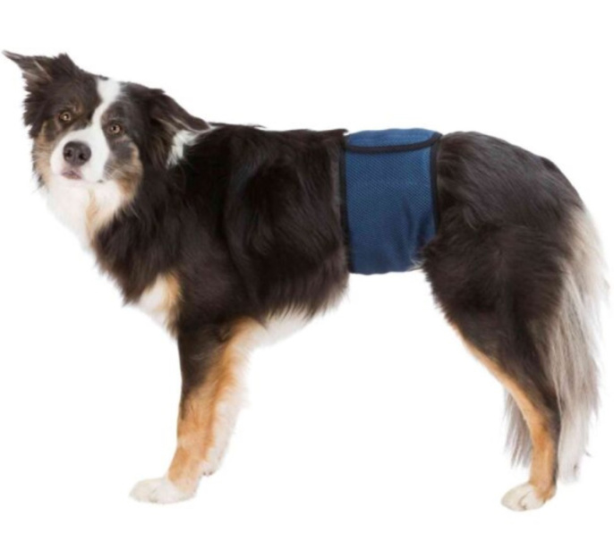 TRIXIE Пояс для кобелей, темно-синий (ХL(65–75 см))