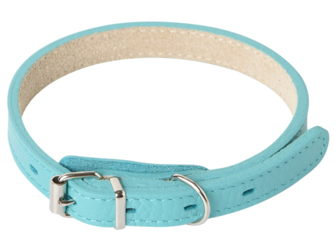 Ошейник для собак Mr.Kranch из натуральной кожи прямой бирюзовый (48-60 см)