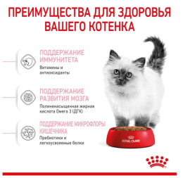 Сухой корм для котят Royal Canin Kitten