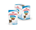 Влажный корм для щенков мелких пород Royal Canin X-Small Puppy (соус) (85 гр*12 шт)