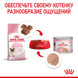 Консервы для котят Royal Canin Babycat Instinctive (мусс)