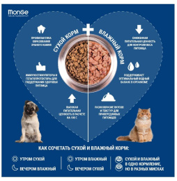 Влажный корм для кошек Monge Cat Monoprotein (утка)