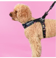 Шлейка для собак United Pets Complete me черный с разноцветными (XS, 1,5 x 34-42 см)