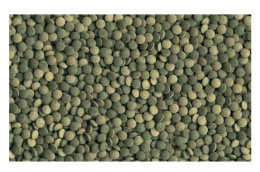 Таблетированный корм для травоядных донных рыб TetraPlecoTablets